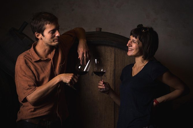Wine Lover's Tour of Peljesac Peninsula - The Third Winery: Snack Pairing and the Best Views Moment