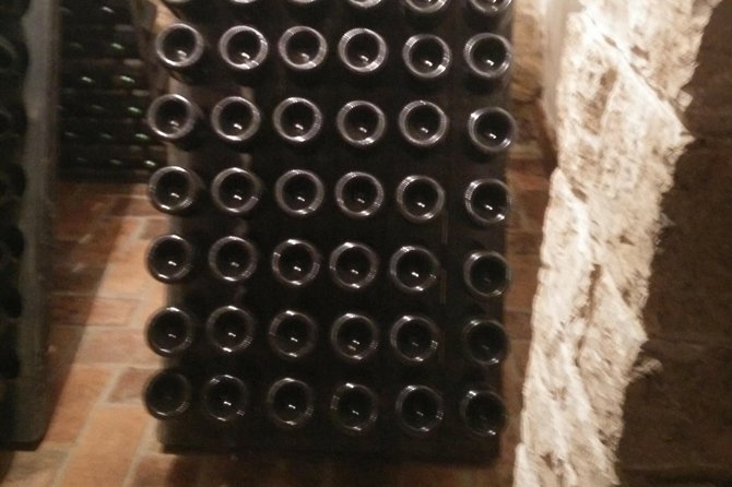 Wine & more Tour , private guided wine tour from POREC, UMAG ,Istria - How the tasting amount works: up to 12 wines, plus olive oil