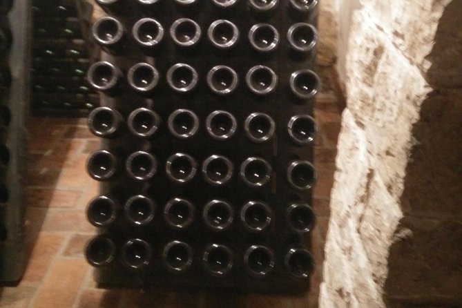Wine & more Tour , private guided wine tour from ROVINJ & PULA to wine cellars - The Short Drive to Trapan or Meneghetti: Family Cellars and Local Grape Focus