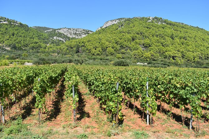 Wine & Sightseeing Tour Korcula - Key highlights to know before you go