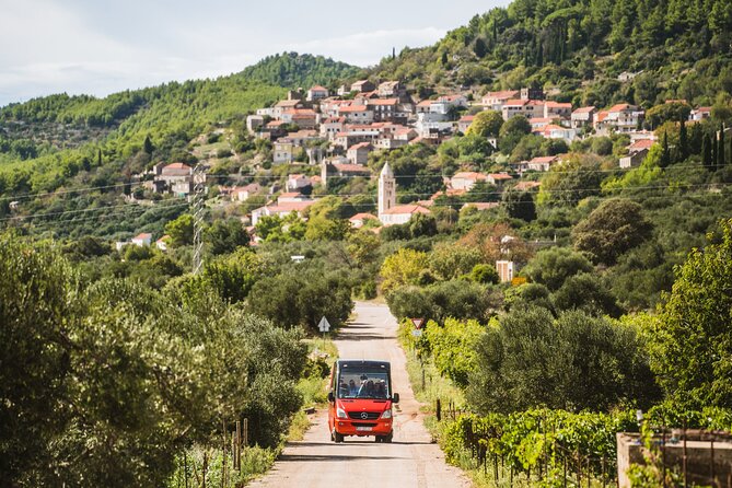 Wine & Sightseeing Tour Korcula - Korčula wine, honey, and panoramic views in one tight plan
