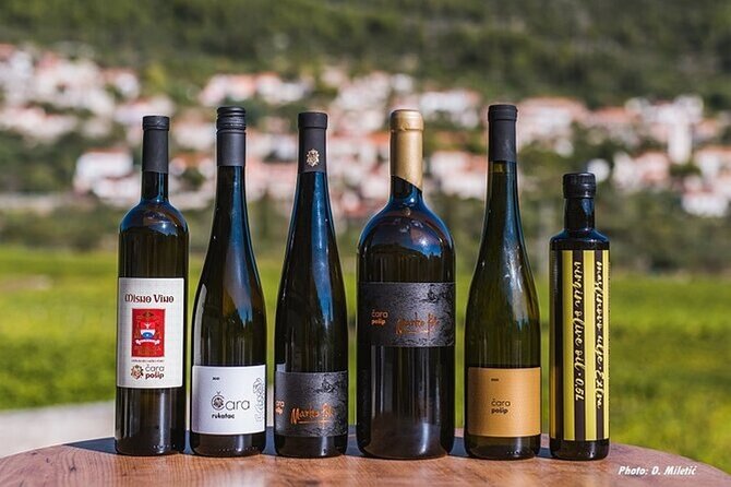 Wine & Sightseeing Tour Korcula - Wine tastings that let you compare styles, not just collect sips