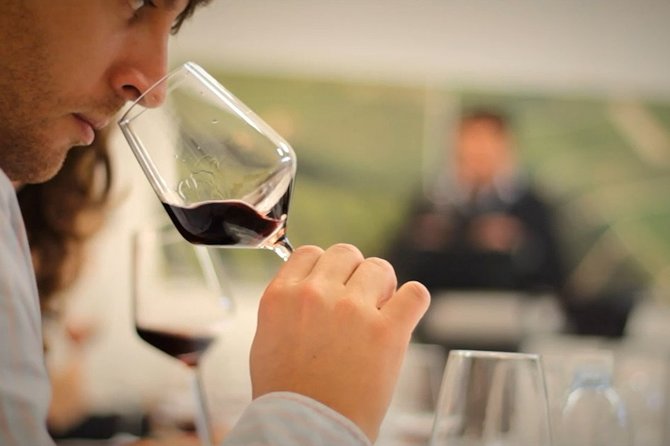 Wine Tasting Experience at the organic winery in Šišan - Meeting at TrapanGiordano Dobran 63 in Šišan