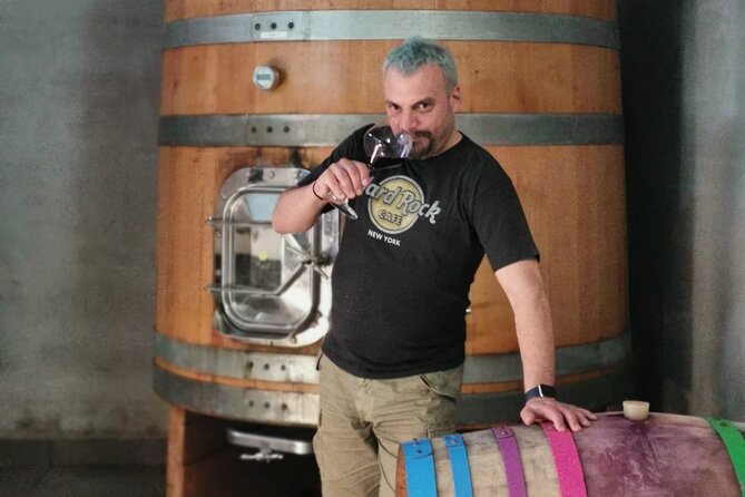 Wine Tasting Experience at the organic winery in Šišan - Snacks and local specialities: what to expect with your glasses