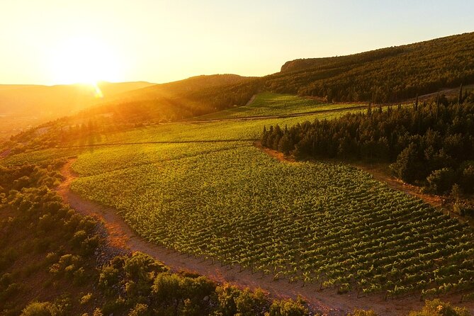 Wine Tasting Grabovac Tour From Makarska - How many wines and why that matters to your budget