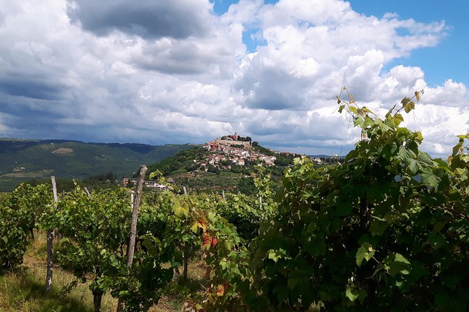 Wine Tour - The Best of Istria - Meeting Point and Pickup: Get Your Bearings Fast