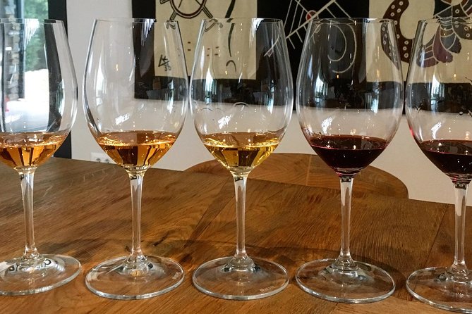 Wine Tour - The Best of Istria - Group Size and the Guide Experience: Built for Questions