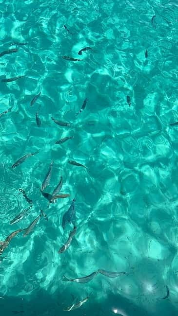 Zadar:3 Pearls of Zadar Speedboat Tour with Wine & Fruit - Price and value: why $23 can make sense for what you get