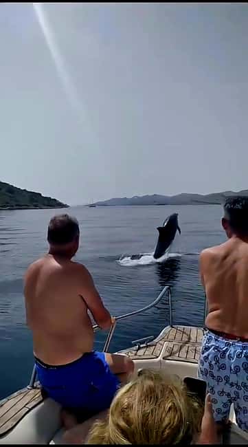 Zadar: Adventure on 6 islands, 3 lagoons, 1 cave, Bio Fruits - Key highlights that make this trip worth your half day