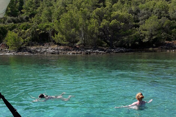 Zadar Boat Tour Half Day - Key highlights that make this half-day special