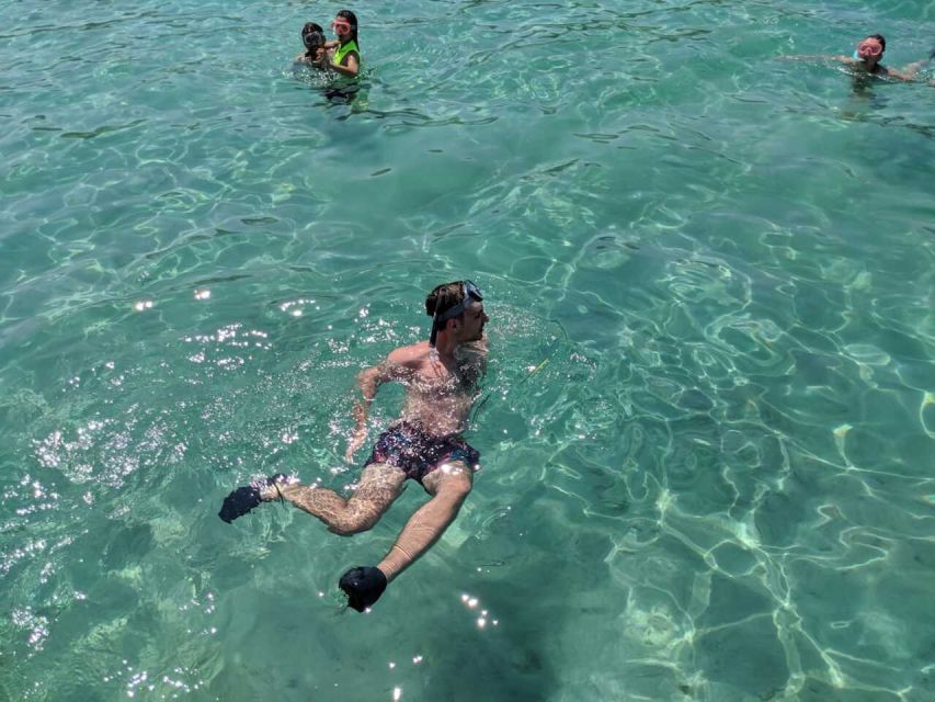 Zadar: Boat Tour to the Nearby Islands - Should you book BANALIS to Ugljan?