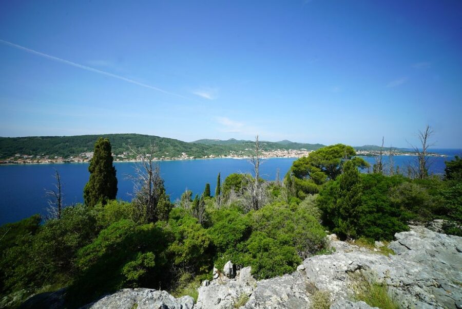 Zadar: Guided Speedboat Tour with Food, Oil & Wine Tasting - Kali Food Tasting: Seafood, Olive Oil, and Wine Without the Hard Sell