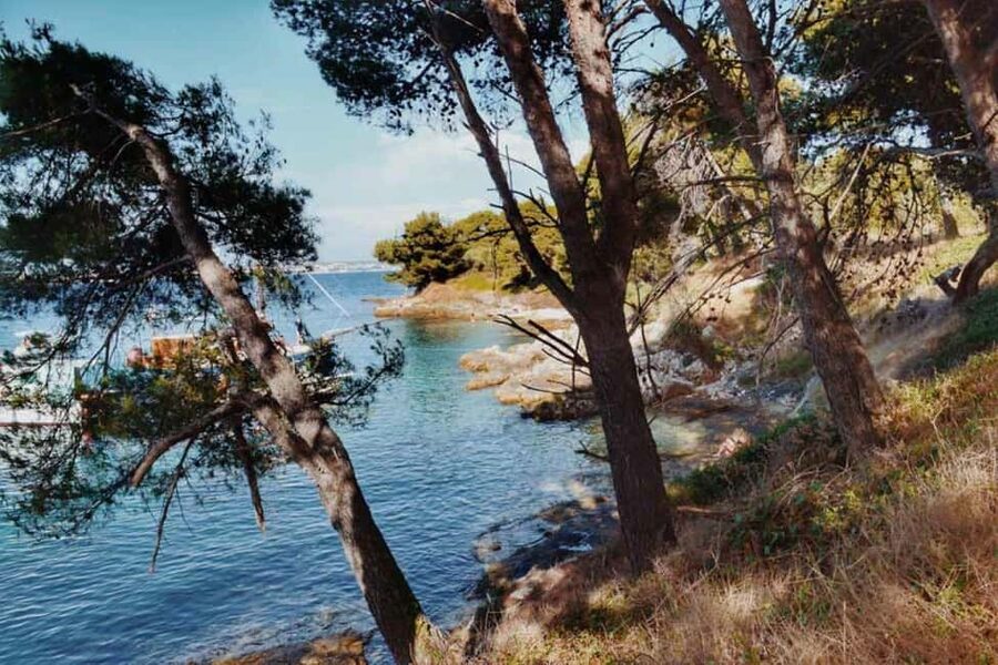 Zadar: Island cruise with drinks, snorkeling and kayaking - Should You Book This Zadar Island Cruise?