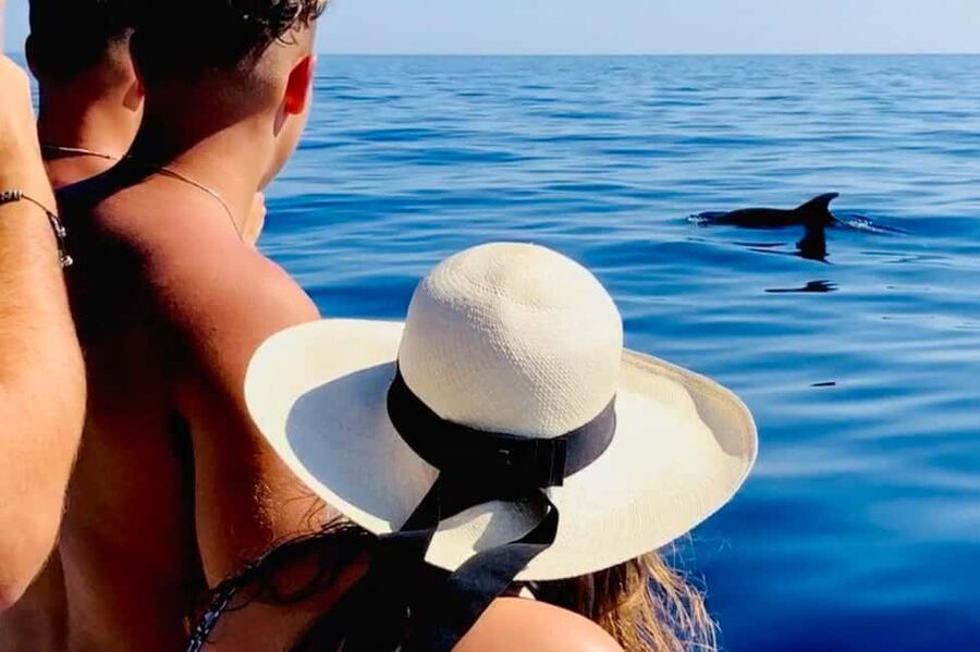 Zadar: Island-Hopping, Swimming & Snorkeling SpeedBoat Tour - The final stops: a secluded coast, then The Greeting to the Sun