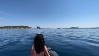 Island Luxury Speedboat Tour with Snorkeling