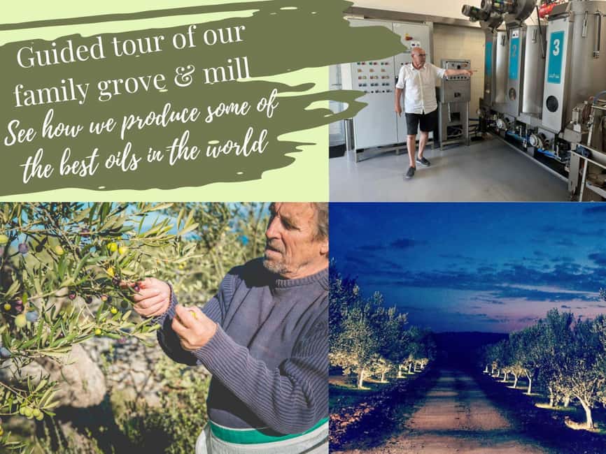 Zadar Olive Oil & Wine with Dalmatian Views & History - Price and value: $64 for food education plus history plus views