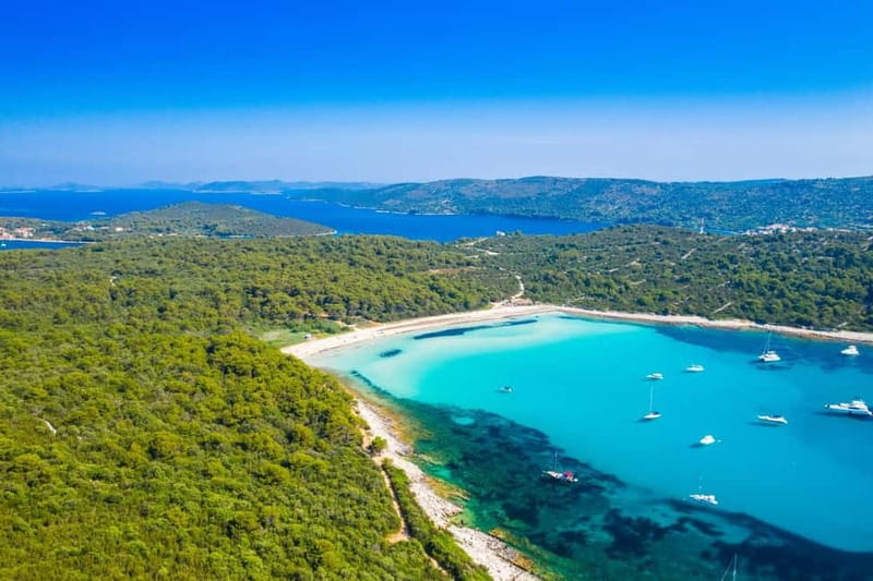 Zadar: Sakarun Beach & Dugi Island Speedboat Tour w/Diving - Dugi Otok Swimming Cove and the Pine-to-Sea Moment