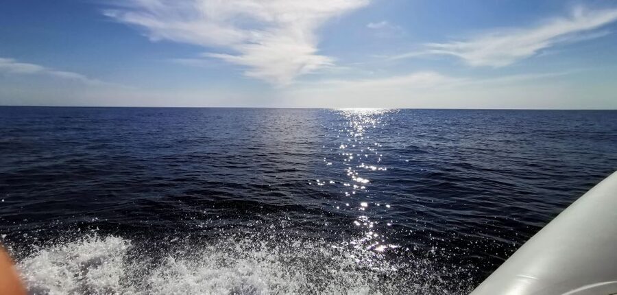 Zadar: Sakarun, Cave, Blue Lagoon, Dragon Eye & Snorkel Tour - Sakarun Beach: the big-ticket swim hour
