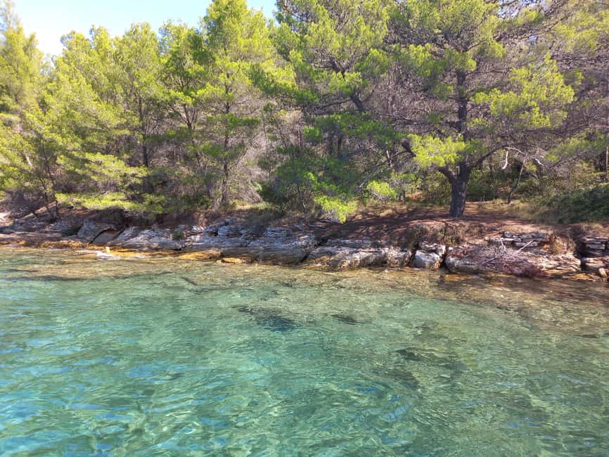 Zadar: Sea, Sun, and Wind Half-Day Sailing Adventure - Key reasons this Zadar sailing is worth your time
